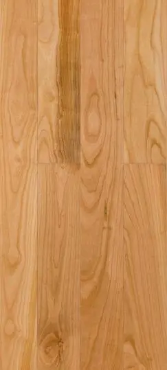 colore ciliegio europeo