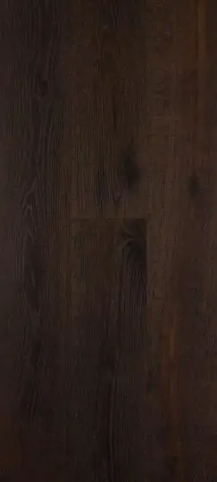 colore le chat noire