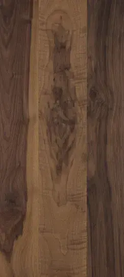 colore noce americano